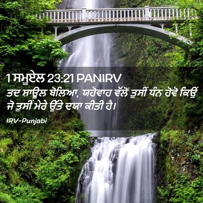 Picture 02 - 1 ਸਮੂਏਲ 23:21 PANIRV - ਤਦ ਸ਼ਾਊਲ ਬੋਲਿਆ, - Bible Verse Picture