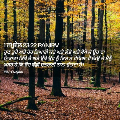 Picture 02 - 1 ਸਮੂਏਲ 23:22 PANIRV - ਹੁਣ ਤੁਰੋ ਅਤੇ ਹੋਰ - Bible Verse Picture