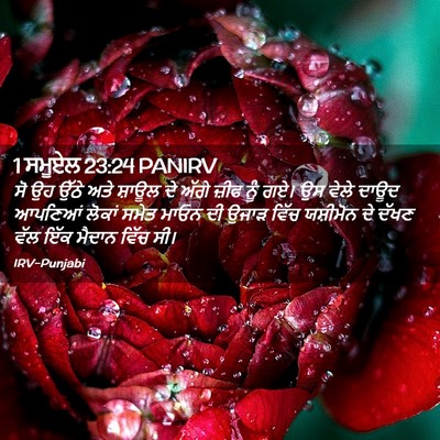 Picture 02 - 1 ਸਮੂਏਲ 23:24 PANIRV - ਸੋ ਉਹ ਉੱਠੇ ਅਤੇ - Bible Verse Picture