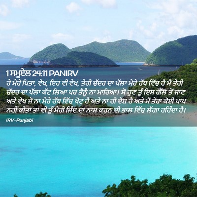 Picture 02 - 1 ਸਮੂਏਲ 24:11 PANIRV - ਹੇ ਮੇਰੇ ਪਿਤਾ, ਵੇਖ, - Bible Verse Picture