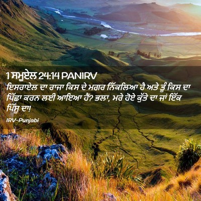 Picture 02 - 1 ਸਮੂਏਲ 24:14 PANIRV - ਇਸਰਾਏਲ ਦਾ ਰਾਜਾ ਕਿਸ - Bible Verse Picture