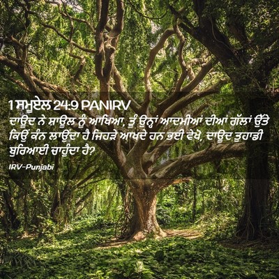 Picture 02 - 1 ਸਮੂਏਲ 24:9 PANIRV - ਦਾਊਦ ਨੇ ਸ਼ਾਊਲ ਨੂੰ - Bible Verse Picture