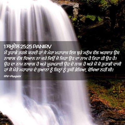Picture 02 - 1 ਸਮੂਏਲ 25:25 PANIRV - ਮੈਂ ਤੁਹਾਡੇ ਤਰਲੇ - Bible Verse Picture