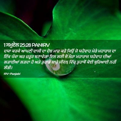 Picture 02 - 1 ਸਮੂਏਲ 25:28 PANIRV - ਦਯਾ ਕਰਕੇ ਆਪਣੀ ਦਾਸੀ - Bible Verse Picture