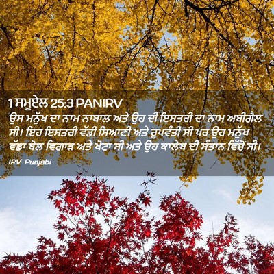 Picture 02 - 1 ਸਮੂਏਲ 25:3 PANIRV - ਉਸ ਮਨੁੱਖ ਦਾ ਨਾਮ - Bible Verse Picture