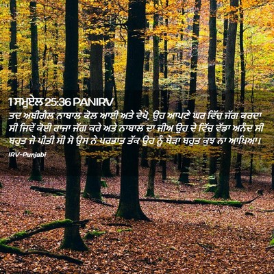 Picture 02 - 1 ਸਮੂਏਲ 25:36 PANIRV - ਤਦ ਅਬੀਗੈਲ ਨਾਬਾਲ - Bible Verse Picture