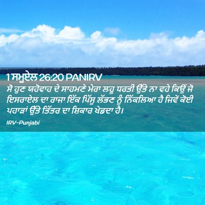 Picture 02 - 1 ਸਮੂਏਲ 26:20 PANIRV - ਸੋ ਹੁਣ ਯਹੋਵਾਹ ਦੇ - Bible Verse Picture