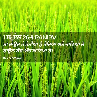 Picture 02 - 1 ਸਮੂਏਲ 26:4 PANIRV - ਤਾਂ ਦਾਊਦ ਨੇ ਭੇਤੀਆਂ - Bible Verse Picture