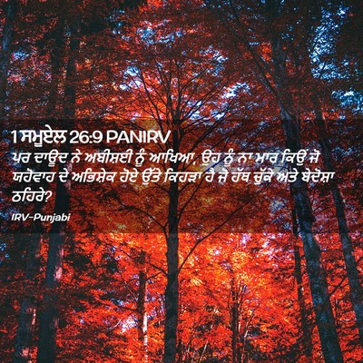 Picture 02 - 1 ਸਮੂਏਲ 26:9 PANIRV - ਪਰ ਦਾਊਦ ਨੇ ਅਬੀਸ਼ਈ - Bible Verse Picture