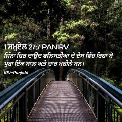 Picture 02 - 1 ਸਮੂਏਲ 27:7 PANIRV - ਜਿੰਨਾਂ ਚਿਰ ਦਾਊਦ - Bible Verse Picture