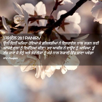 Picture 02 - 1 ਸਮੂਏਲ 28:1 PANIRV - ਉਨੀਂ ਦਿਨੀਂ ਅਜਿਹਾ - Bible Verse Picture