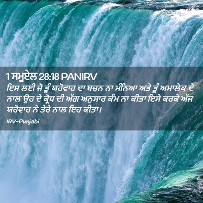 Picture 02 - 1 ਸਮੂਏਲ 28:18 PANIRV - ਇਸ ਲਈ ਜੋ ਤੂੰ ਯਹੋਵਾਹ - Bible Verse Picture