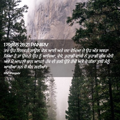 Picture 02 - 1 ਸਮੂਏਲ 28:21 PANIRV - ਤਦ ਉਹ ਇਸਤਰੀ ਸ਼ਾਊਲ - Bible Verse Picture