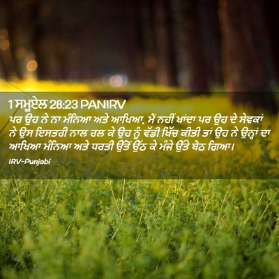 Picture 02 - 1 ਸਮੂਏਲ 28:23 PANIRV - ਪਰ ਉਹ ਨੇ ਨਾ ਮੰਨਿਆ - Bible Verse Picture
