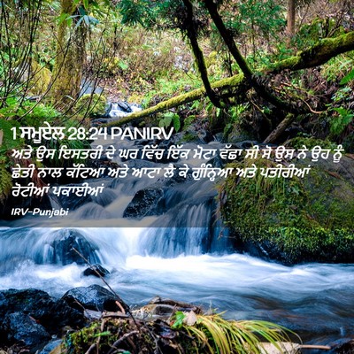 Picture 02 - 1 ਸਮੂਏਲ 28:24 PANIRV - ਅਤੇ ਉਸ ਇਸਤਰੀ ਦੇ ਘਰ - Bible Verse Picture