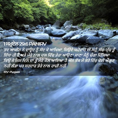 Picture 02 - 1 ਸਮੂਏਲ 29:6 PANIRV - ਤਦ ਆਕੀਸ਼ ਨੇ ਦਾਊਦ - Bible Verse Picture