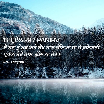 Picture 02 - 1 ਸਮੂਏਲ 29:7 PANIRV - ਸੋ ਹੁਣ ਤੂੰ ਮੁੜ ਅਤੇ - Bible Verse Picture