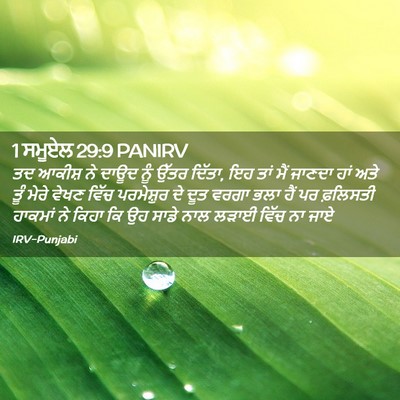 Picture 02 - 1 ਸਮੂਏਲ 29:9 PANIRV - ਤਦ ਆਕੀਸ਼ ਨੇ ਦਾਊਦ - Bible Verse Picture