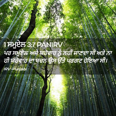 Picture 02 - 1 ਸਮੂਏਲ 3:7 PANIRV - ਪਰ ਸਮੂਏਲ ਅਜੇ - Bible Verse Picture