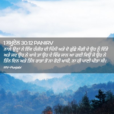 Picture 02 - 1 ਸਮੂਏਲ 30:12 PANIRV - ਨਾਲੇ ਉਨ੍ਹਾਂ ਨੇ ਇੱਕ - Bible Verse Picture