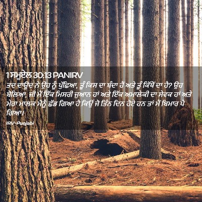 Picture 02 - 1 ਸਮੂਏਲ 30:13 PANIRV - ਤਦ ਦਾਊਦ ਨੇ ਉਹ ਨੂੰ - Bible Verse Picture