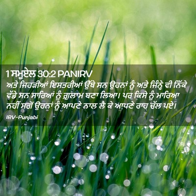Picture 02 - 1 ਸਮੂਏਲ 30:2 PANIRV - ਅਤੇ ਜਿਹੜੀਆਂ - Bible Verse Picture