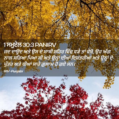 Picture 02 - 1 ਸਮੂਏਲ 30:3 PANIRV - ਜਦ ਦਾਊਦ ਅਤੇ ਉਸ ਦੇ - Bible Verse Picture