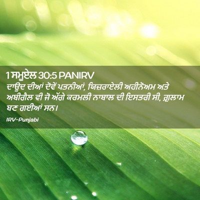 Picture 02 - 1 ਸਮੂਏਲ 30:5 PANIRV - ਦਾਊਦ ਦੀਆਂ ਦੋਵੇਂ - Bible Verse Picture