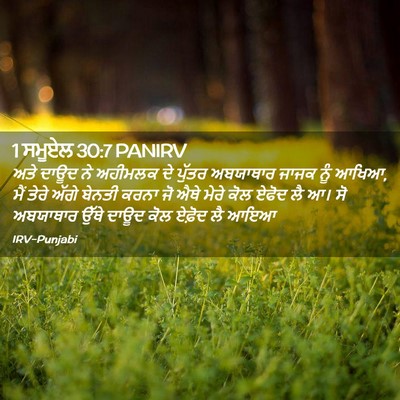 Picture 02 - 1 ਸਮੂਏਲ 30:7 PANIRV - ਅਤੇ ਦਾਊਦ ਨੇ ਅਹੀਮਲਕ - Bible Verse Picture
