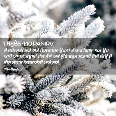 Picture 02 - 1 ਸਮੂਏਲ 4:10 PANIRV - ਸੋ ਫ਼ਲਿਸਤੀ ਲੜੇ ਅਤੇ - Bible Verse Picture