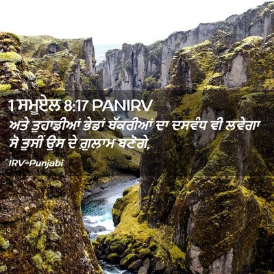 Picture 02 - 1 ਸਮੂਏਲ 8:17 PANIRV - ਅਤੇ ਤੁਹਾਡੀਆਂ - Bible Verse Picture