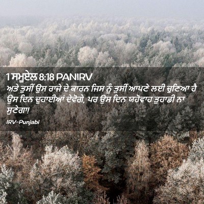 Picture 02 - 1 ਸਮੂਏਲ 8:18 PANIRV - ਅਤੇ ਤੁਸੀਂ ਉਸ ਰਾਜੇ - Bible Verse Picture
