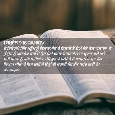 Picture 02 - 1 ਸਮੂਏਲ 9:16 PANIRV - ਜੋ ਇਸੇ ਸਮੇਂ ਇੱਕ - Bible Verse Picture
