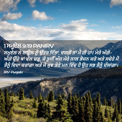Picture 02 - 1 ਸਮੂਏਲ 9:19 PANIRV - ਸਮੂਏਲ ਨੇ ਸ਼ਾਊਲ ਨੂੰ - Bible Verse Picture