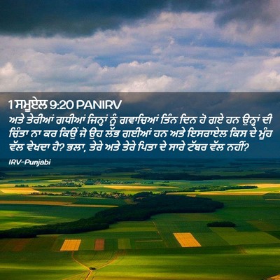 Picture 02 - 1 ਸਮੂਏਲ 9:20 PANIRV - ਅਤੇ ਤੇਰੀਆਂ ਗਧੀਆਂ - Bible Verse Picture