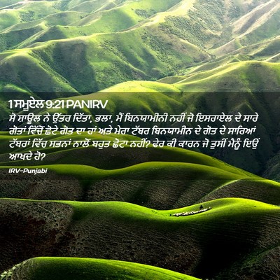 Picture 02 - 1 ਸਮੂਏਲ 9:21 PANIRV - ਸੋ ਸ਼ਾਊਲ ਨੇ ਉੱਤਰ - Bible Verse Picture
