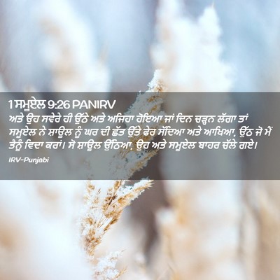 Picture 02 - 1 ਸਮੂਏਲ 9:26 PANIRV - ਅਤੇ ਉਹ ਸਵੇਰੇ ਹੀ - Bible Verse Picture