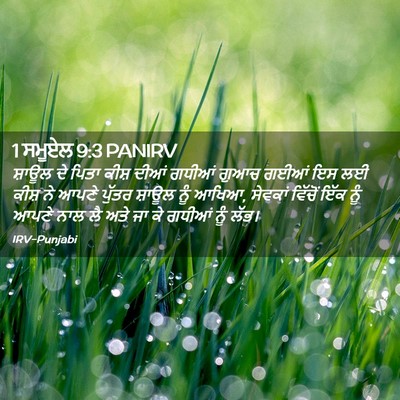 Picture 02 - 1 ਸਮੂਏਲ 9:3 PANIRV - ਸ਼ਾਊਲ ਦੇ ਪਿਤਾ ਕੀਸ਼ - Bible Verse Picture