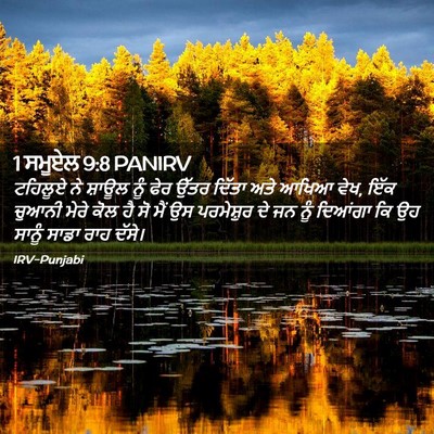 Picture 02 - 1 ਸਮੂਏਲ 9:8 PANIRV - ਟਹਿਲੂਏ ਨੇ ਸ਼ਾਊਲ - Bible Verse Picture