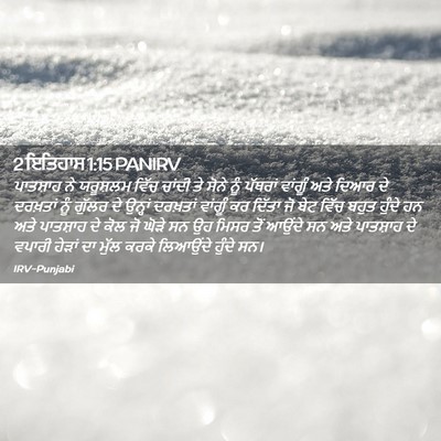 Picture 02 - 2 ਇਤਿਹਾਸ 1:15 PANIRV - ਪਾਤਸ਼ਾਹ ਨੇ - Bible Verse Picture