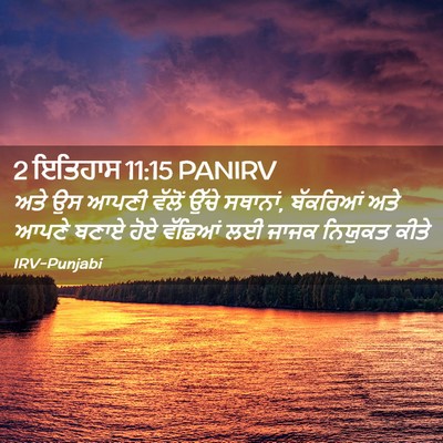Picture 02 - 2 ਇਤਿਹਾਸ 11:15 PANIRV - ਅਤੇ ਉਸ ਆਪਣੀ ਵੱਲੋਂ - Bible Verse Picture