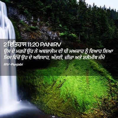 Picture 02 - 2 ਇਤਿਹਾਸ 11:20 PANIRV - ਉਸ ਦੇ ਮਗਰੋਂ ਉਹ ਨੇ - Bible Verse Picture
