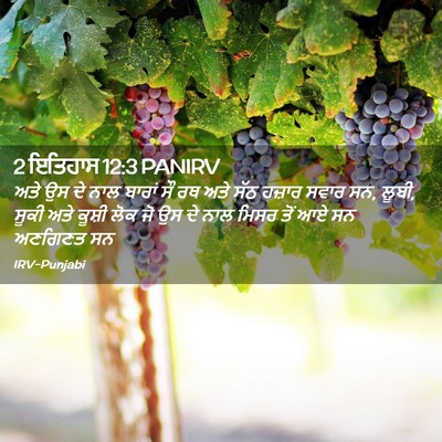 Picture 02 - 2 ਇਤਿਹਾਸ 12:3 PANIRV - ਅਤੇ ਉਸ ਦੇ ਨਾਲ ਬਾਰਾਂ - Bible Verse Picture