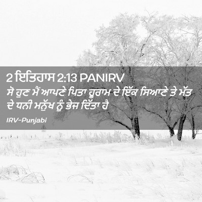 Picture 02 - 2 ਇਤਿਹਾਸ 2:13 PANIRV - ਸੋ ਹੁਣ ਮੈਂ ਆਪਣੇ - Bible Verse Picture