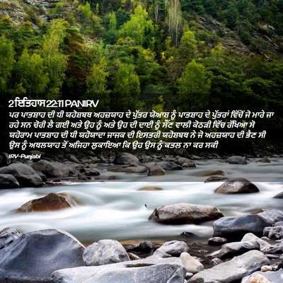 Picture 02 - 2 ਇਤਿਹਾਸ 22:11 PANIRV - ਪਰ ਪਾਤਸ਼ਾਹ ਦੀ ਧੀ - Bible Verse Picture