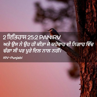Picture 02 - 2 ਇਤਿਹਾਸ 25:2 PANIRV - ਅਤੇ ਉਸ ਨੇ ਉਹ ਹੀ - Bible Verse Picture