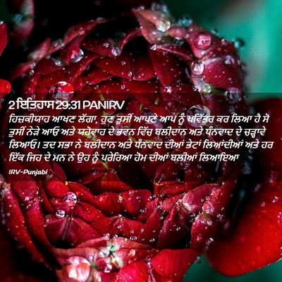 Picture 02 - 2 ਇਤਿਹਾਸ 29:31 PANIRV - ਹਿਜ਼ਕੀਯਾਹ ਆਖਣ - Bible Verse Picture