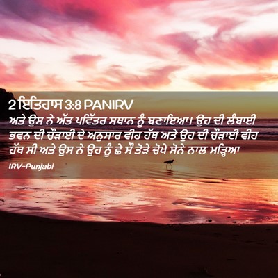 Picture 02 - 2 ਇਤਿਹਾਸ 3:8 PANIRV - ਅਤੇ ਉਸ ਨੇ ਅੱਤ - Bible Verse Picture
