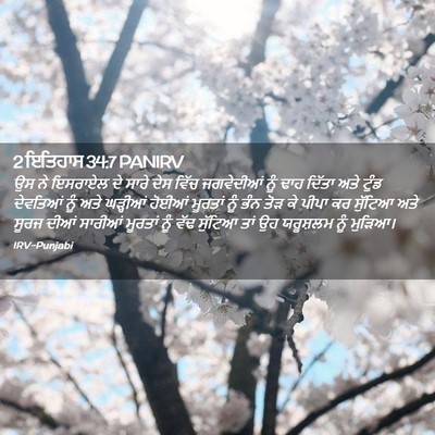 Picture 02 - 2 ਇਤਿਹਾਸ 34:7 PANIRV - ਉਸ ਨੇ ਇਸਰਾਏਲ ਦੇ - Bible Verse Picture
