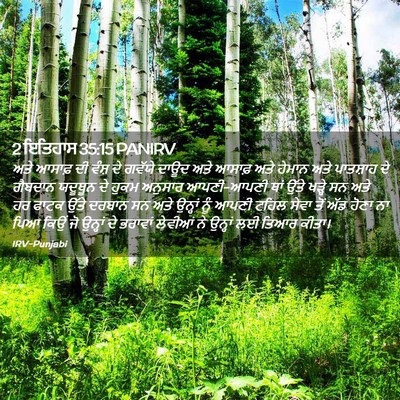 Picture 02 - 2 ਇਤਿਹਾਸ 35:15 PANIRV - ਅਤੇ ਆਸਾਫ਼ ਦੀ ਵੰਸ਼ - Bible Verse Picture